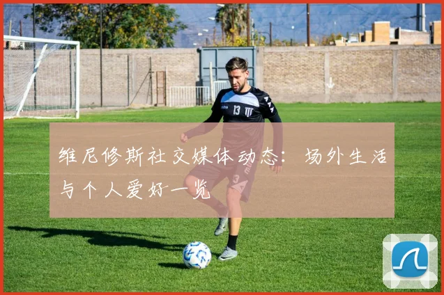 维尼修斯社交媒体动态：场外生活与个人爱好一览