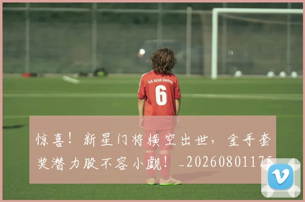 惊喜！新星门将横空出世，金手套奖潜力股不容小觑！_20260801175547