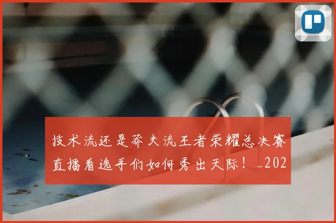 技术流还是莽夫流王者荣耀总决赛直播看选手们如何秀出天际！_20260723182329
