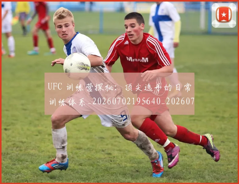 UFC 训练营探秘:顶尖选手的日常训练体系_20260702195640_20260714215919