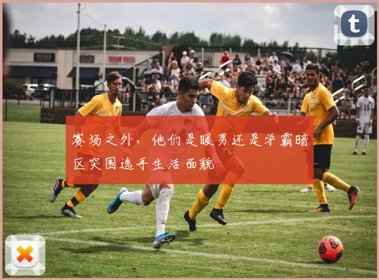 赛场之外，他们是暖男还是学霸暗区突围选手生活面貌